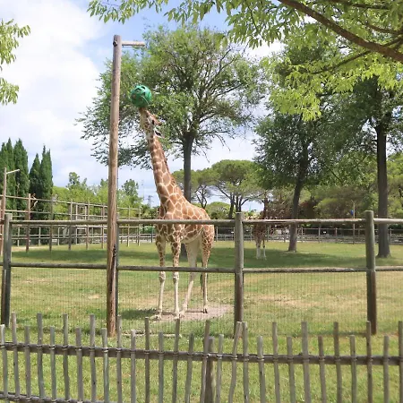 Plutone * Lignano Sabbiadoro